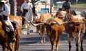 Fort Worth Stockyards